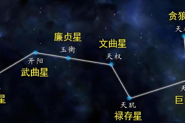 紫薇斗数科