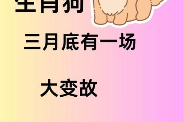 属狗出生最好六个吉日 属狗的出生吉日