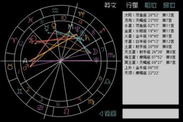 孤独的君王紫薇斗数