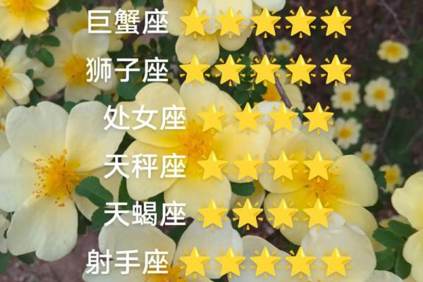 看今天星座的运势如何