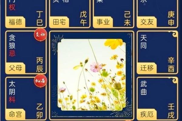紫薇斗数四化表