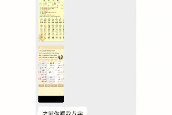 高人汇紫薇斗数