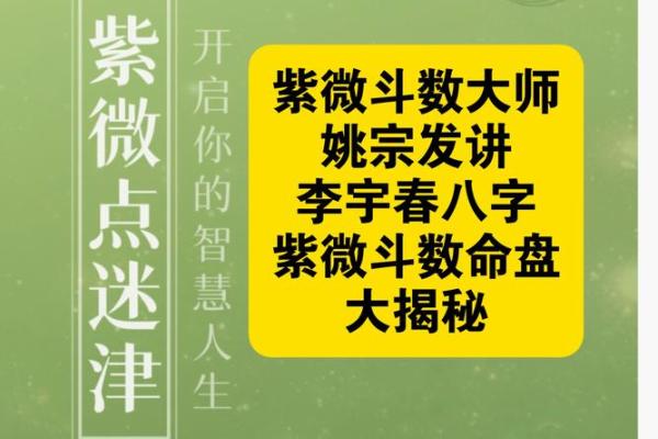 灵机紫薇斗数大师