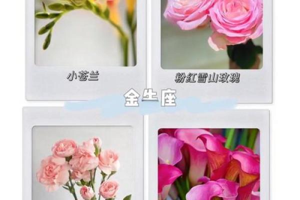 十二星座分别代表的花都有哪些呢