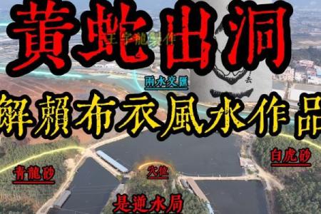 怎样看阴宅风水宝地好不好