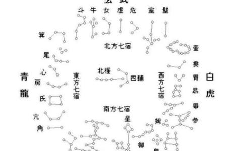 紫薇斗数主要看哪里