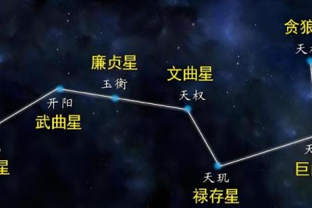 紫薇斗数科