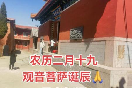 2月19日观音诞应该怎么上香？