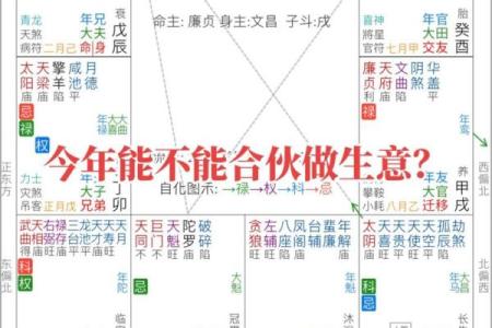 紫薇斗数算命软件