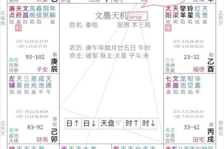 紫薇斗数成就