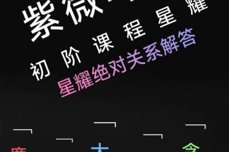 紫薇斗数死