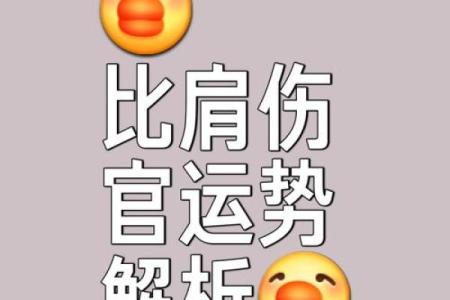肩膀算命大全