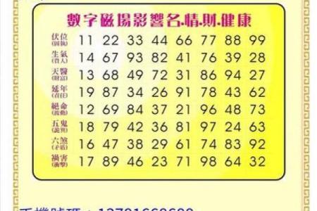 周易车牌吉凶测试打分