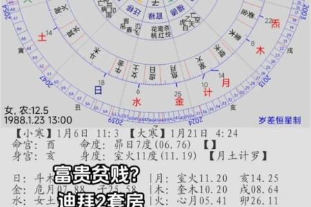 星盘和八字