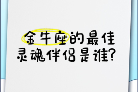 哪个星座适合灵魂伴侣