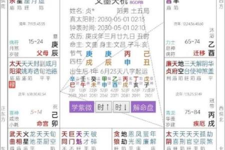 紫薇斗数的官禄宫