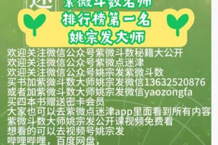 灵机紫薇斗数大师