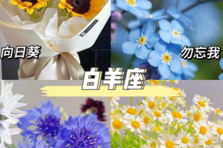 十二星座分别代表的花都有哪些呢
