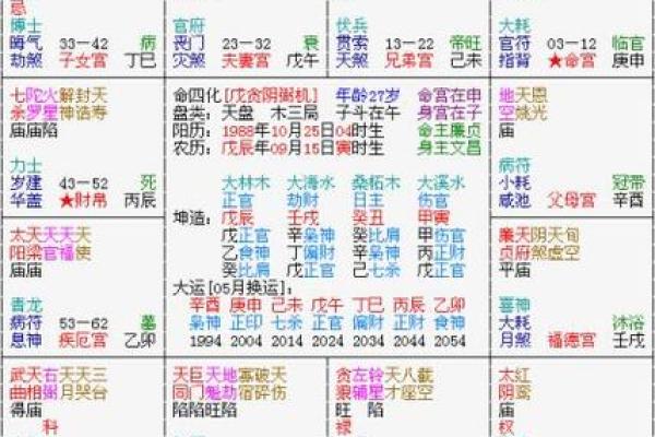 紫薇斗数如看今年流年