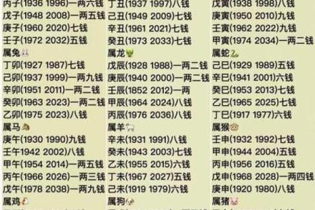 肩膀宽算命