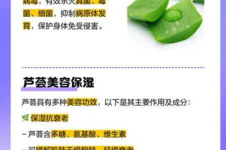 芦荟的风水作用