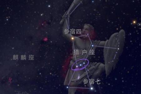 猎户座中最亮的星是哪颗星座