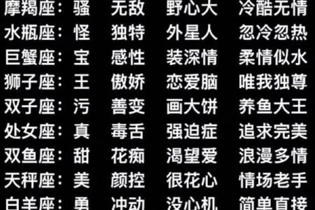 十二星座适合什么乐器请说出理由