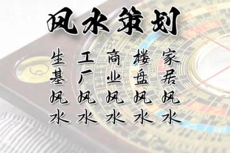 桃木不适合哪些人解释风水观点