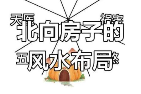 纯南向房子风水