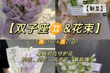 十二星座代表的守护花都有哪些呢