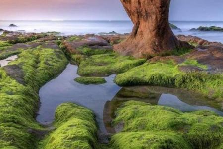 背湖 风水