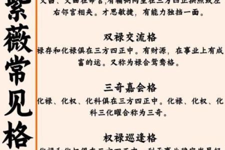 紫薇斗数命理入门基础知识