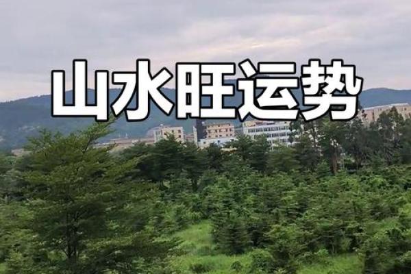 风水:住多大的房子最旺运?房前房后有什么最好? 风水:住多大的房子最旺运?房前房后有什么最好?