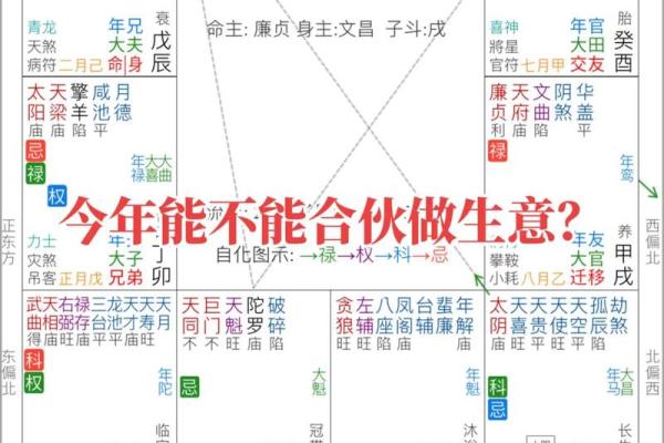 关于紫薇斗数软件安卓破解版的信息
