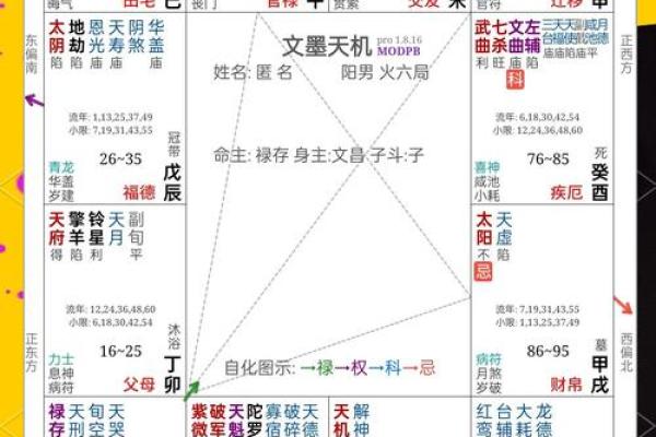 关于紫薇斗数软件安卓破解版的信息