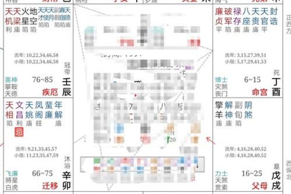 紫薇斗数看出国运