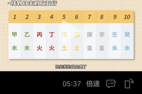 八字排盘详解破解版