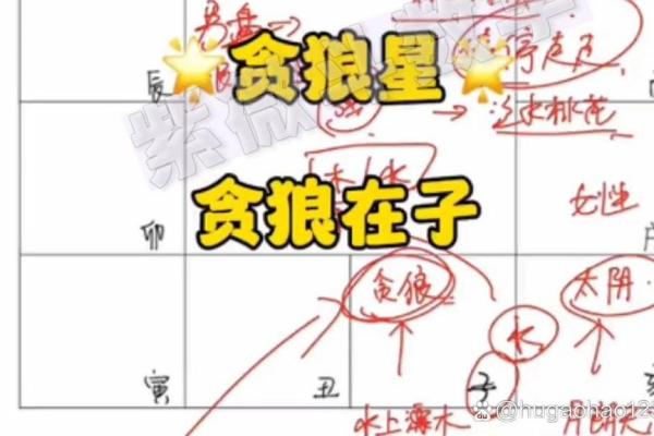 紫薇斗数贪狼化解