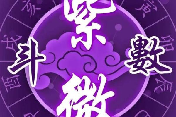 紫薇斗数安卓