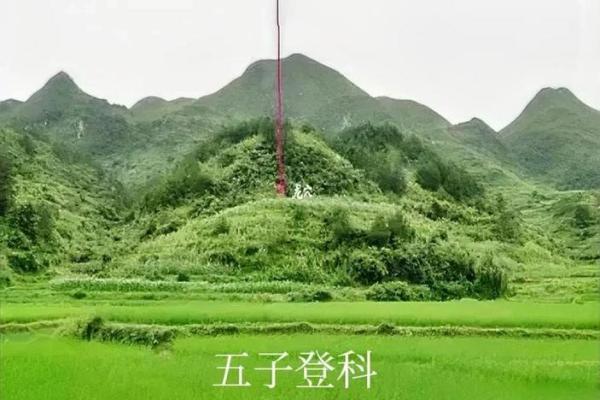 小心这些行为可能破坏阴宅风水