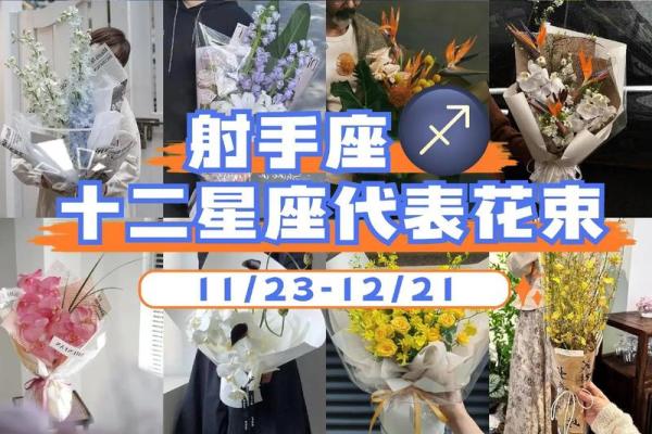 十二星座合适养什么绿植