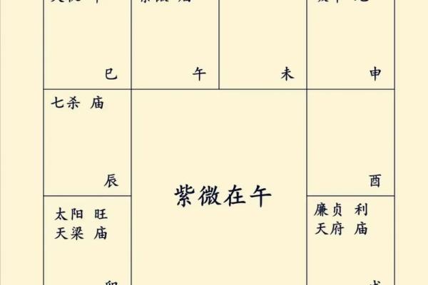 紫薇斗数怎么看嫁入豪门