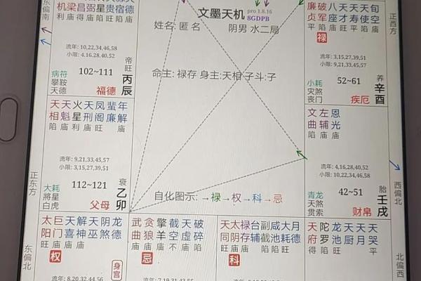紫薇斗数太岁宫位