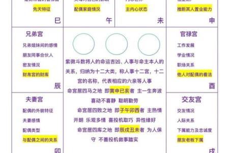 紫微斗数诸星落诸宫之，夫妻宫