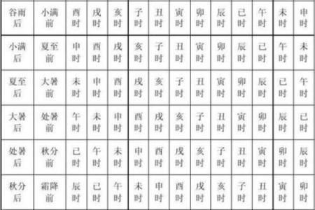 八字命宫辛亥是什么意思