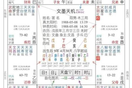 紫微斗数之事业宫与诸星，太阴星在事业宫是什么意思？