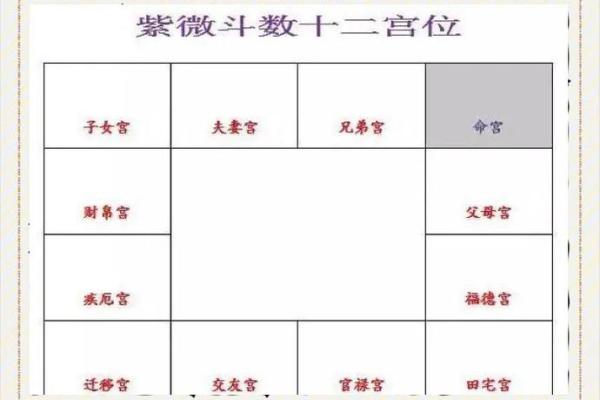 紫薇斗数夫妻宫代表