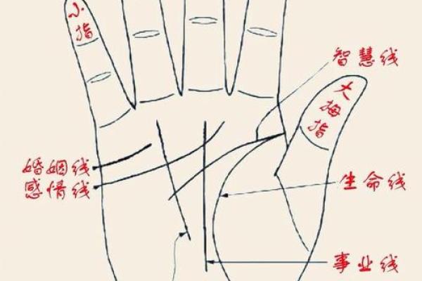 什么是八字掌,八字掌的标准手型是什么