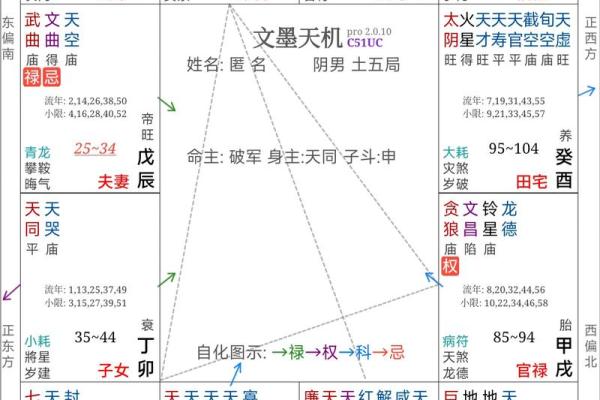 科紫薇斗数