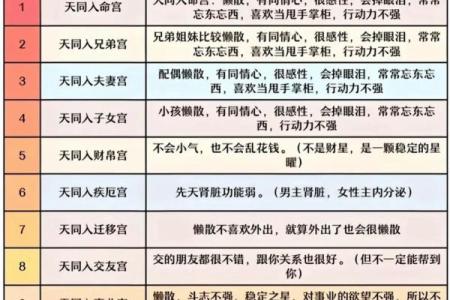 紫薇斗数精成十二